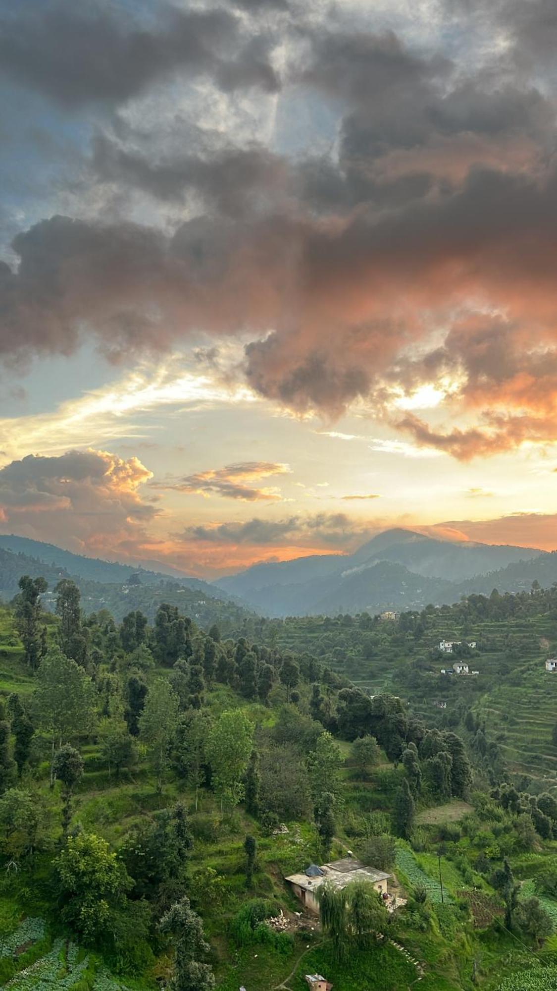 Nazaara -Thhpsociety - Mukteshwar - Witness The View From Your Bed מראה חיצוני תמונה